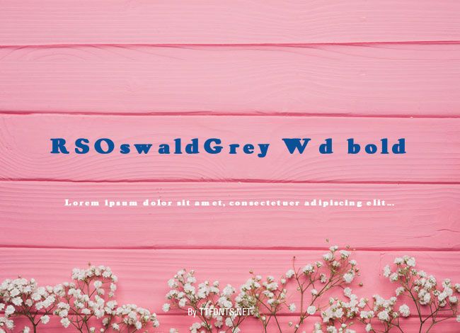 RSOswaldGrey Wd bold example